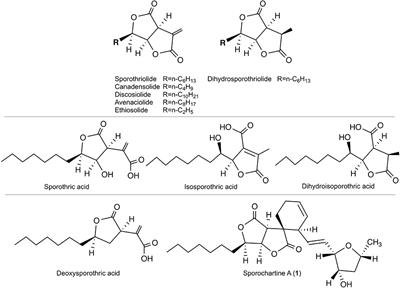 Sporochartines A–E, A New Family of Natural Products from the Marine Fungus Hypoxylon monticulosum Isolated from a Sphaerocladina Sponge